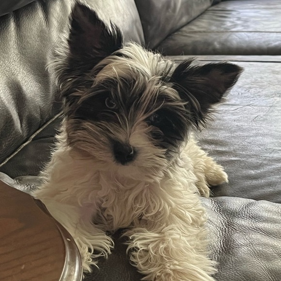 Guess what?!?! We are live live!!! - Picture 7 of 16